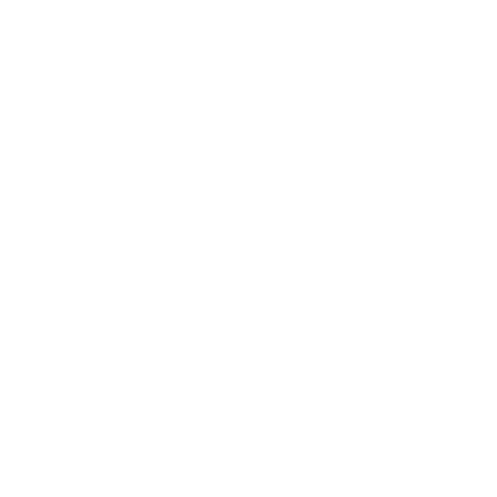 Ed and the Shadow Boys logo